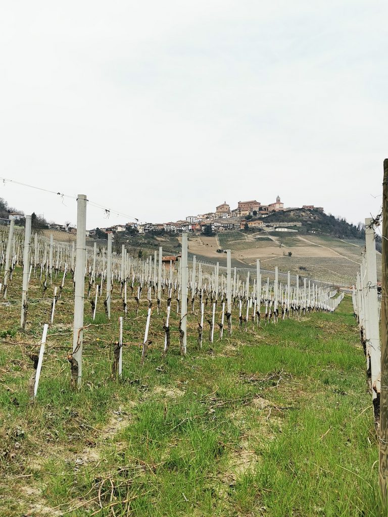Vigneti La Morra