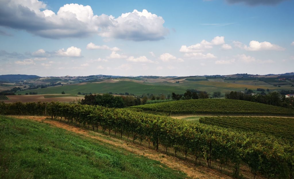 Monferrato