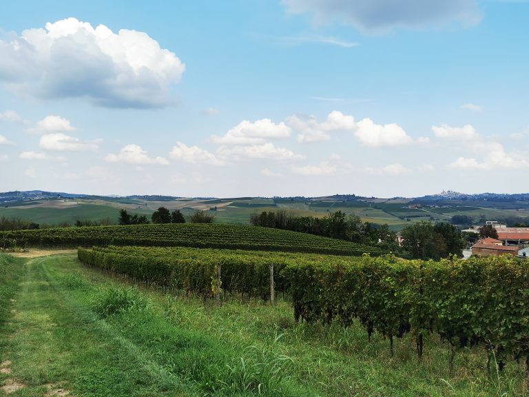 Vigneti di Montemagno