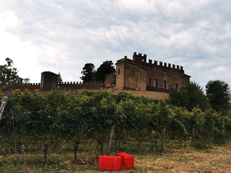 Vigneti di Montemagno