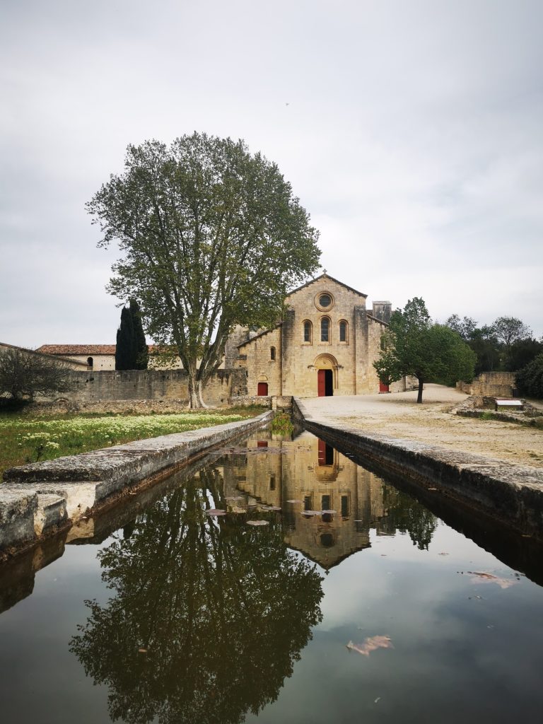 Abbazia di Silvacane - stagno esterno
