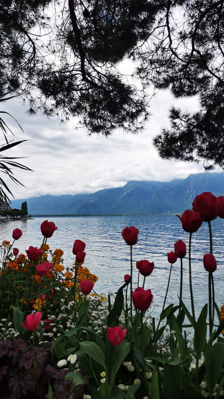 Montreux