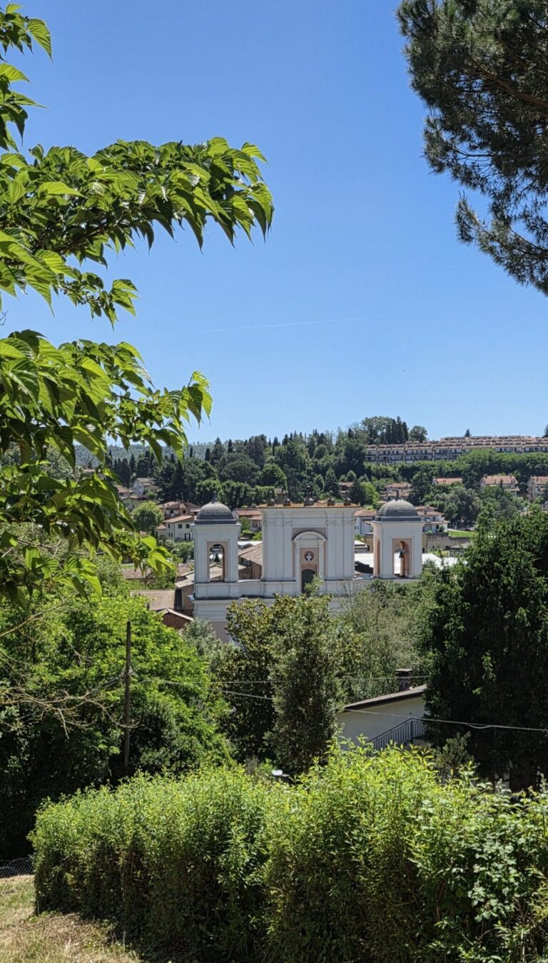 Vista dalla Pineta sulla Basilica del Santo Sepolcro