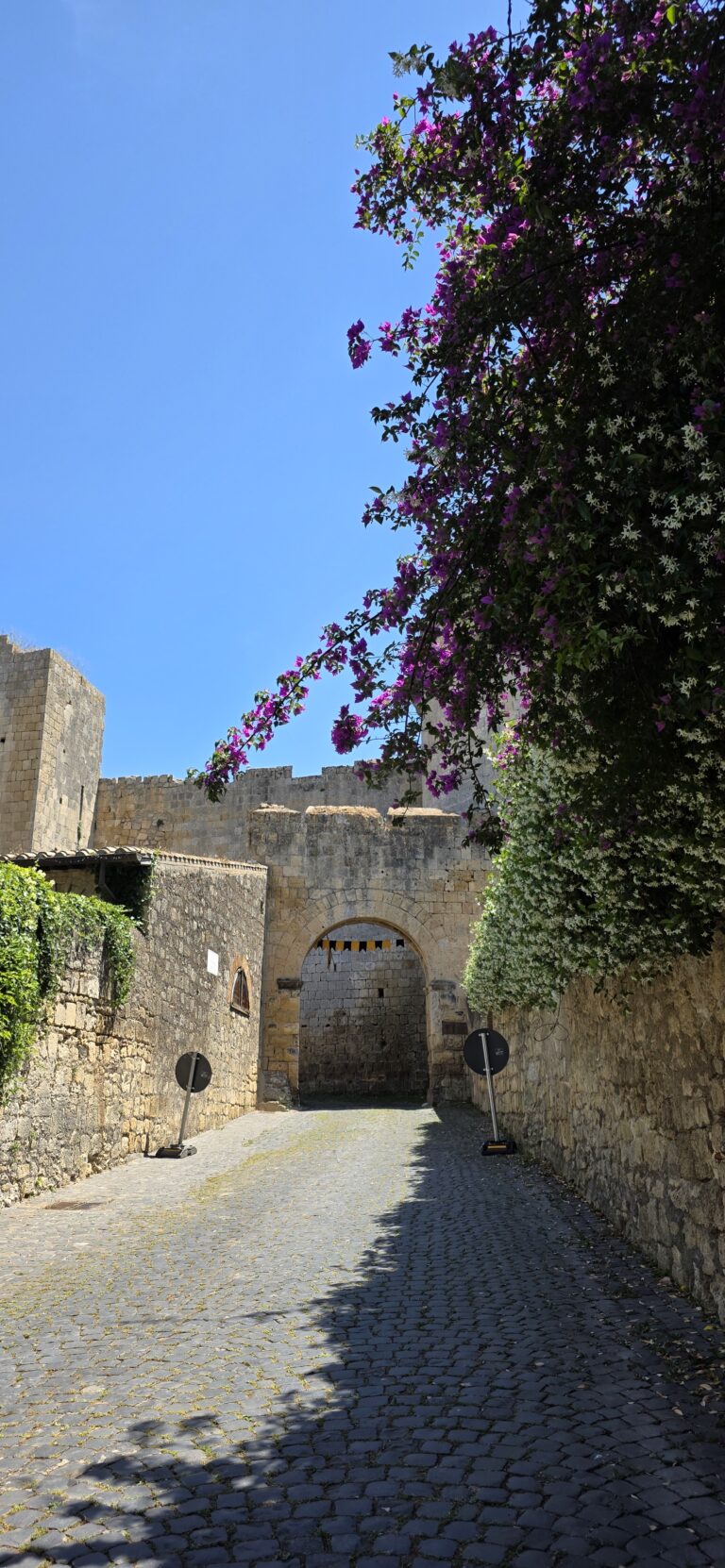 Via Porta Castello