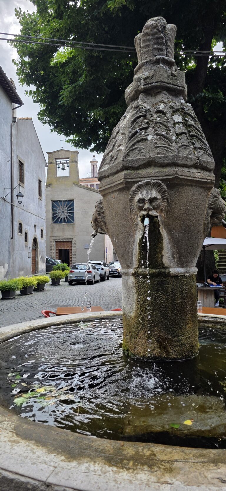 Una delle numerose fontane di Viterbo