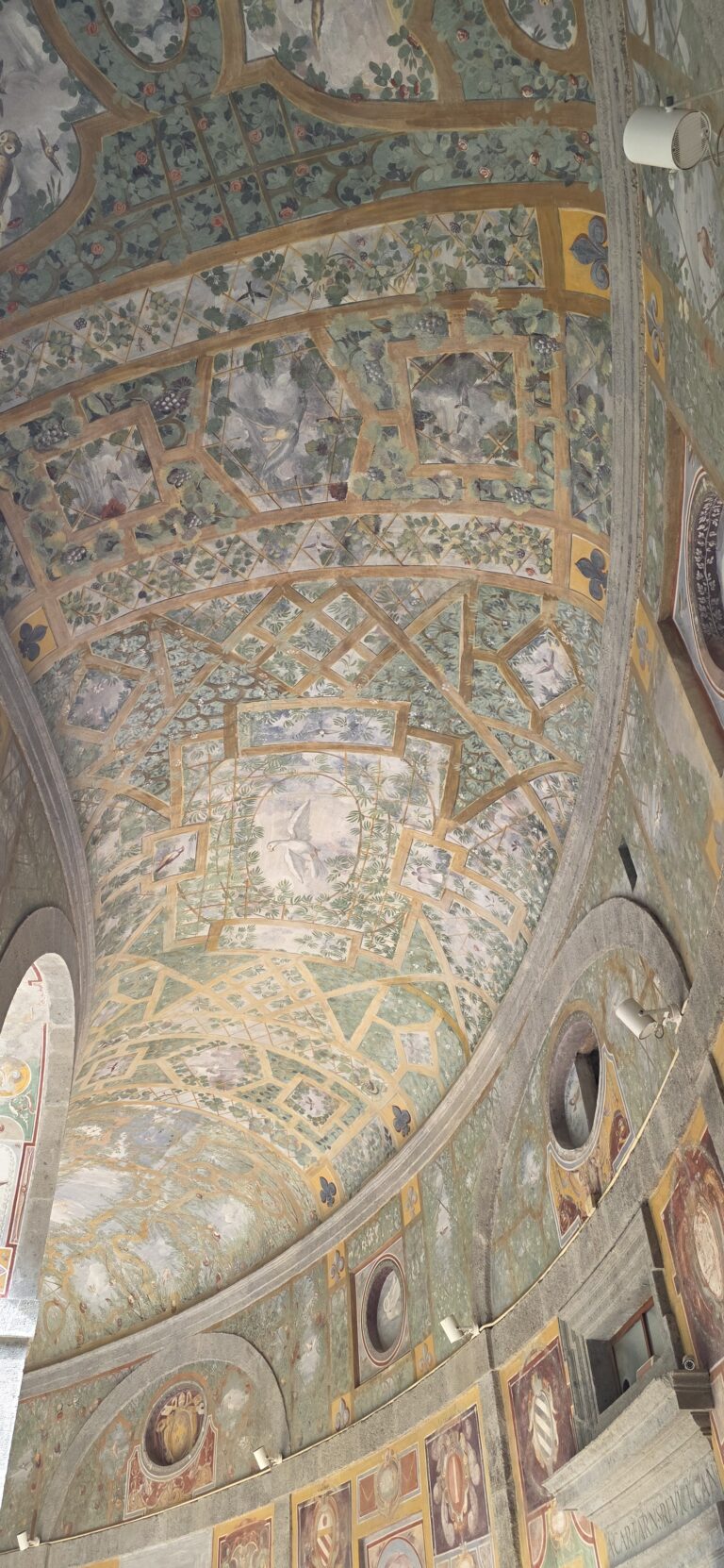 Interno Palazzo Farnese