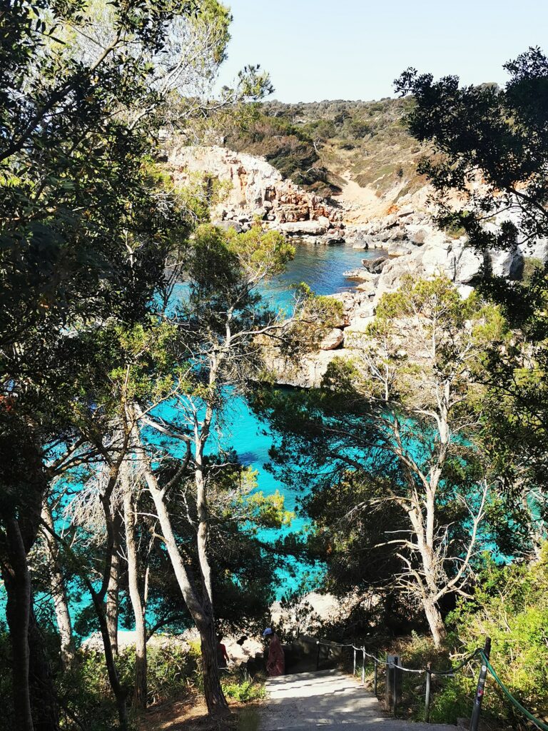Pineta di Cala Llombards