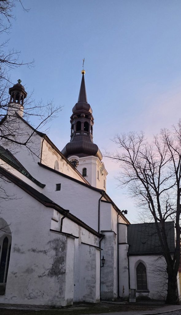 Duomo di Tallinn o “Toomkirik