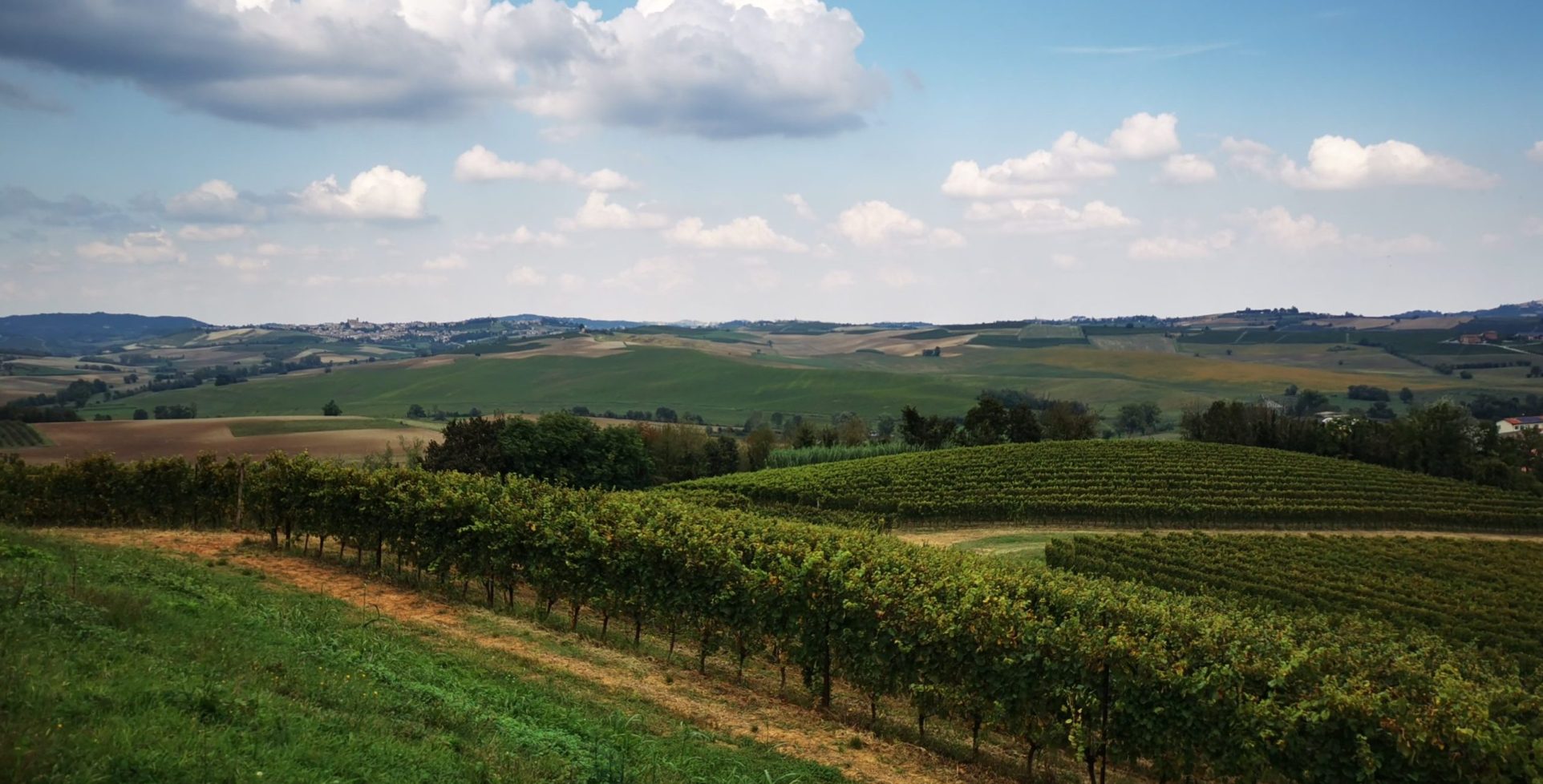 Monferrato